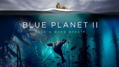 Take a Deep Breath