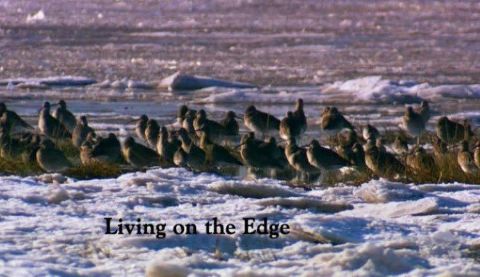 Living on the Edge