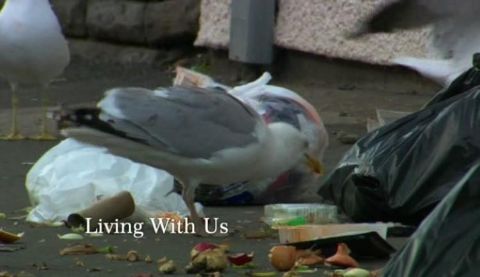 Living With Us