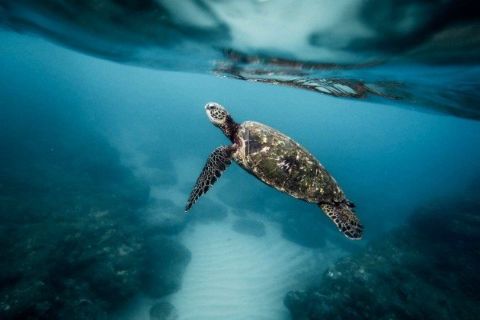 Our Blue Planet