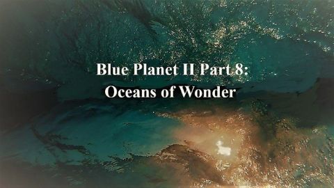 Oceans of Wonder
