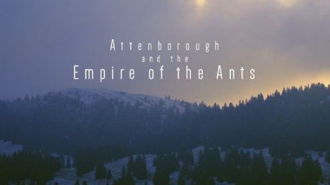 Attenborough and the Empire of the Ants