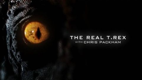 The Real T-Rex with Chris Packham