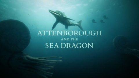 Attenborough and the Sea Dragon
