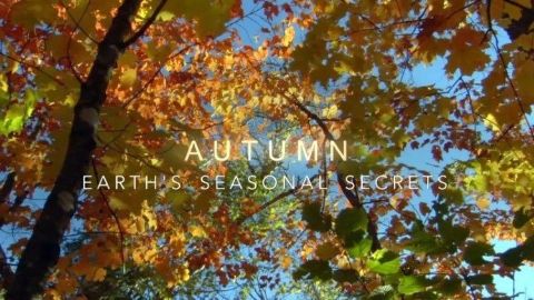 Autumn