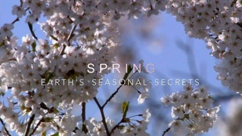 Spring