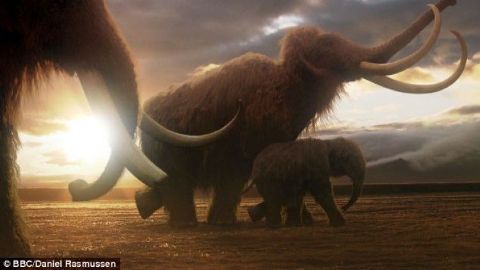 Last of the Giants