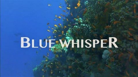 Blue Whisper