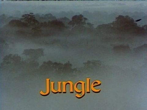 Jungle