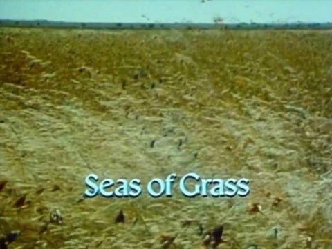 Seas of Grass