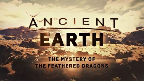 The Mystery of the Feathered Dragons