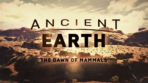 The Dawn of Mammals