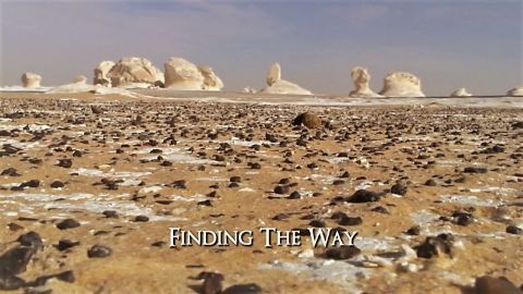 Finding the Way