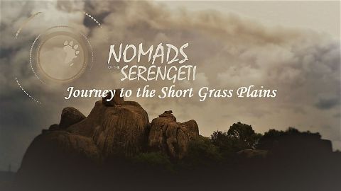 Journey to the Short Grass Plains