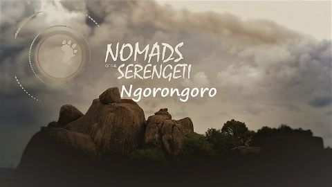 Ngorongoro