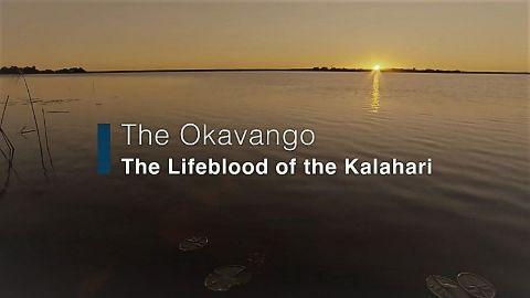 The Okavango: Lifeblood of the Kalahari