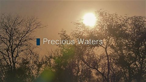 Precious Waters