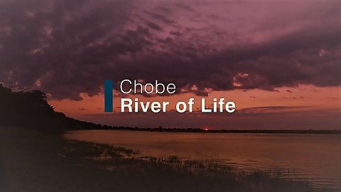 Chobe: River of Life