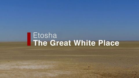 Etosha: the Great White Place