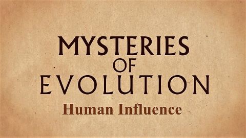Human Influence