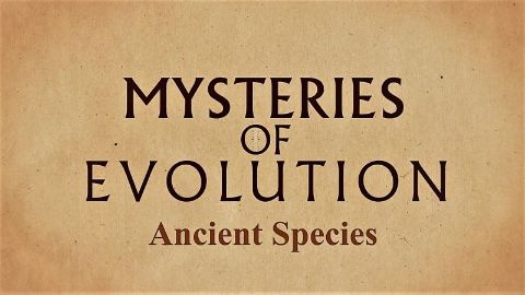 Ancient Species