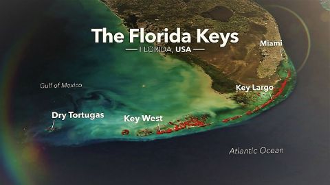 The Florida Keys
