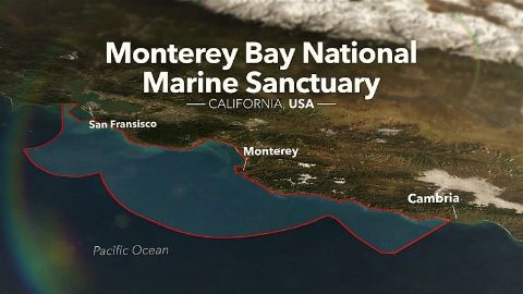 Monterey Bay National Marine Sanctuary