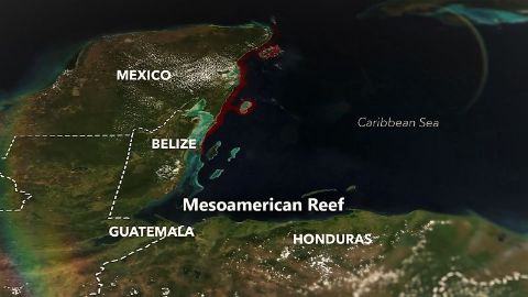Mesoamerican Reef