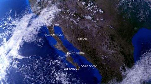 Sea of Cortez