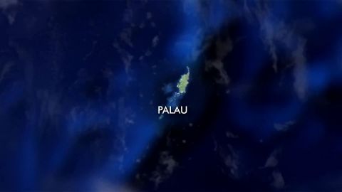 Palau Sharks Sanctuary