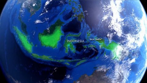 Indonesia: the Secret Lives of Manta Rays