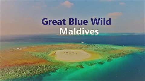 Maldives