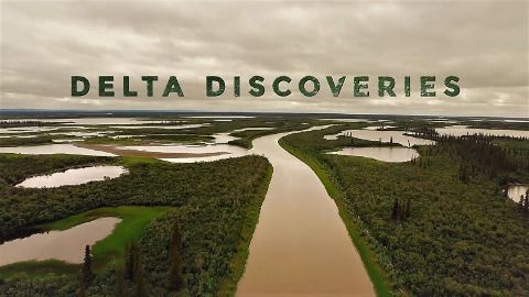Delta Discoveries