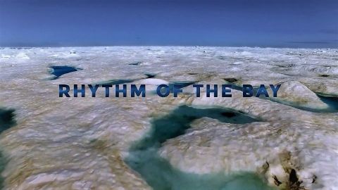 Rhithm of the Bay
