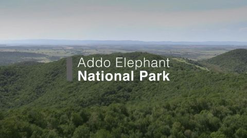 Addo Elephant National Park
