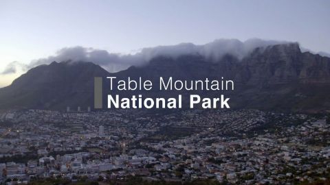 Table Mountain National Park