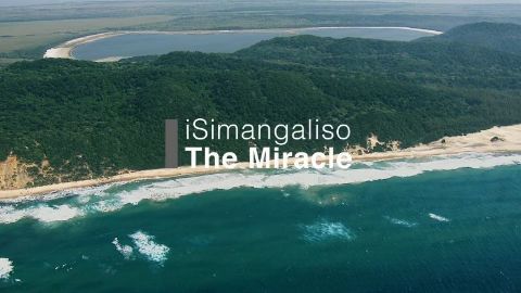 iSamangaliso The Miracle