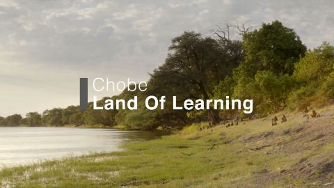 Chobe Land of Learning
