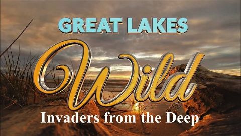 Invaders from the Deep