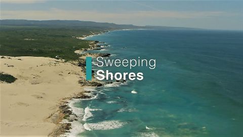 Sweeping Shores