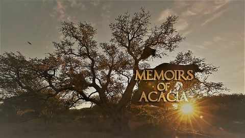Memoirs of Acacia
