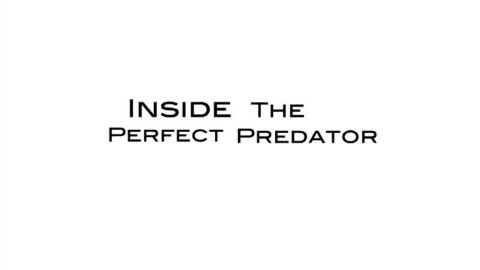 Inside the Perfect Predator