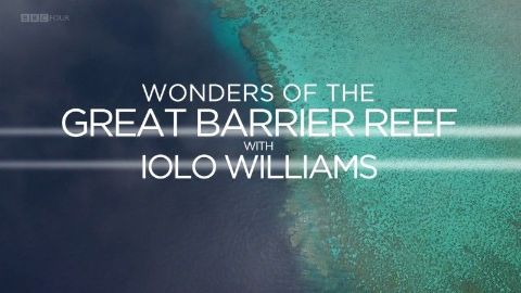 Wonders of the Great Barrier Reef