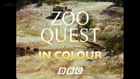 Zoo Quest in Colour