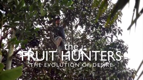 The Fruit Hunters: Evolution of Desire (Part 1 of 2)