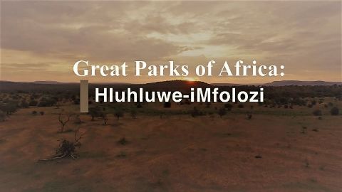 Hluhluwe-iMfolozi