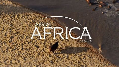 Zambia