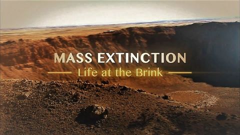 Mass Extinction: Life at the Brink